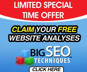 seo special